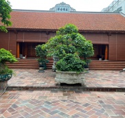 Gạch Bát 300x300x50mm màu đậm